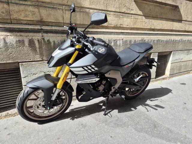 Piega image 7