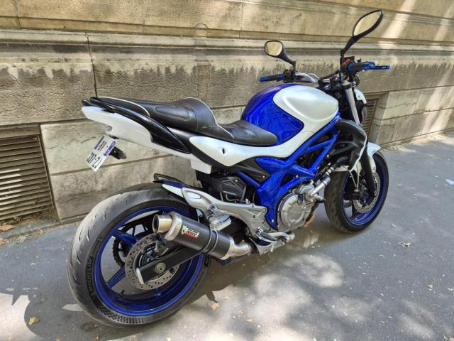Gladius image 6