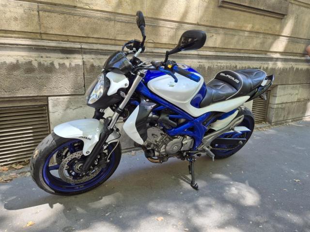 Gladius image 5