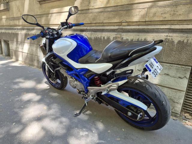 Gladius image 1