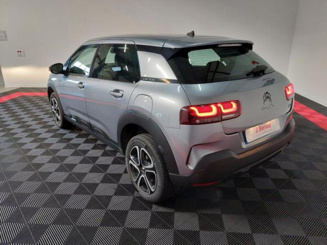 Citroen C4 Cactus image 2