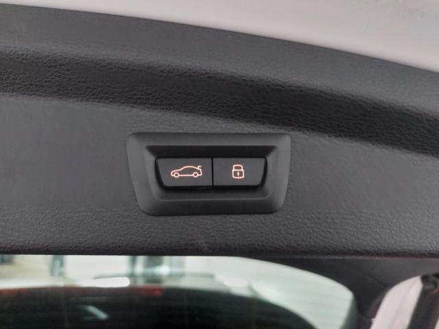 Bmw X2 image 1