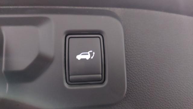 Renault Symbioz image 6