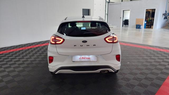 Ford Puma image 8