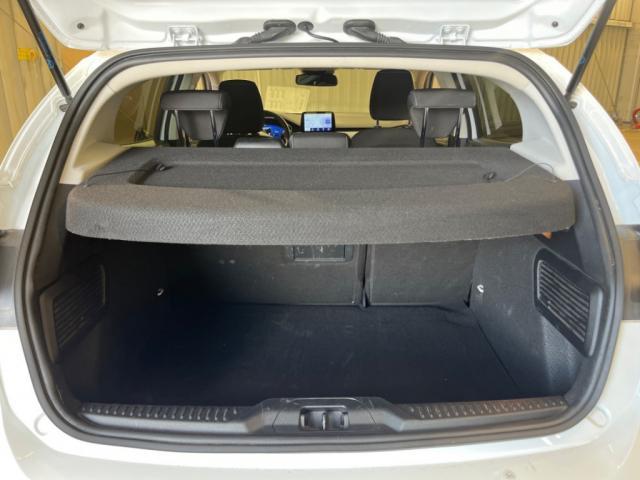 Ford Focus image 5