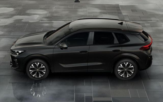 Cupra Terramar image 4