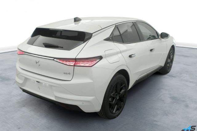 Ds Ds 4 image 6