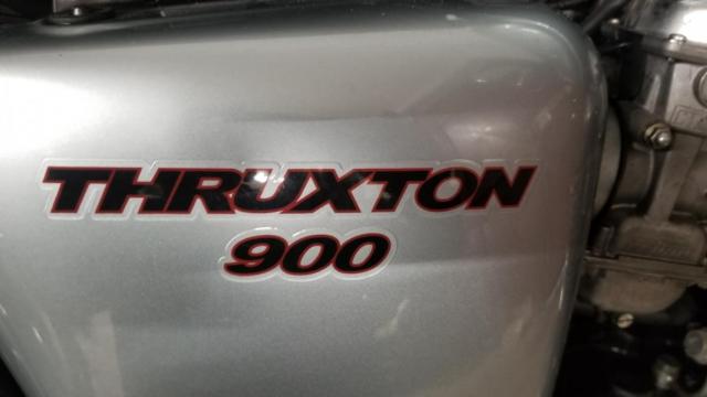 Thruxton 900 Triumph Gris image 8