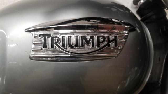 Thruxton 900 Triumph Gris image 5