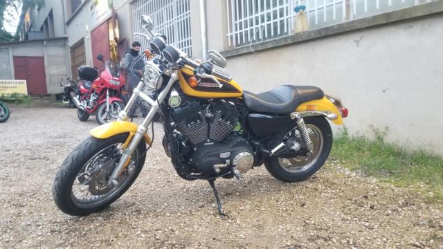 Sportster Xl 1200 R Harley Daidson Jaune image 6