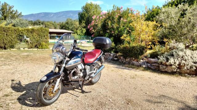 Moto Guzzi