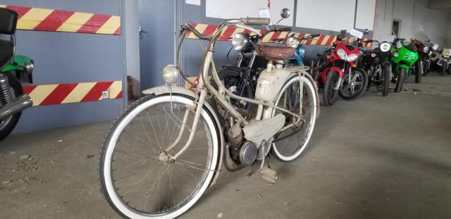 Av 33 Mobylette 49 Motoconfort image 7