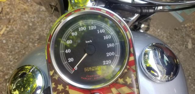 Heritage Classic 1640 Harley Davidson image 2