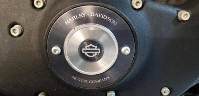 Iron Xl 883 Harley Davidson image 5