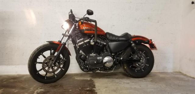 Iron Xl 883 Harley Davidson image 3