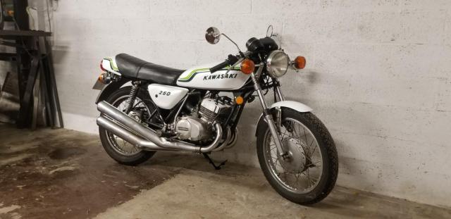 S1 250 Kawasaki Blanc image 2
