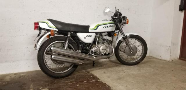 S1 250 Kawasaki Blanc image 7
