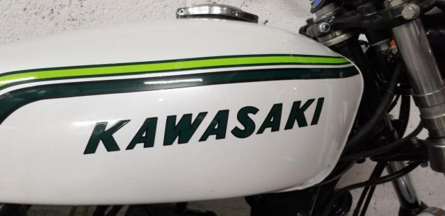S1 250 Kawasaki Blanc image 6