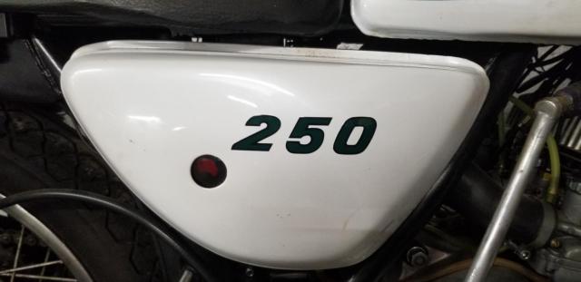S1 250 Kawasaki Blanc image 3