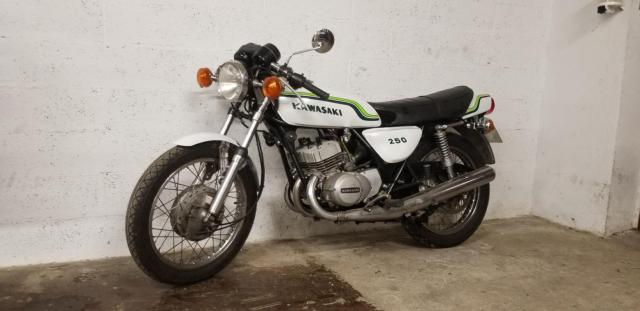 S1 250 Kawasaki Blanc image 1