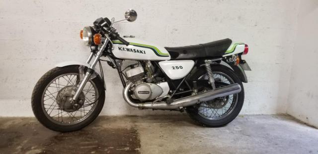 S1 250 Kawasaki Blanc image 4