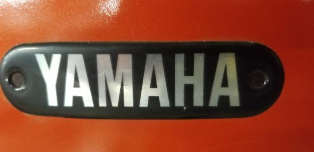 Dt1f 250 Yamaha image 6