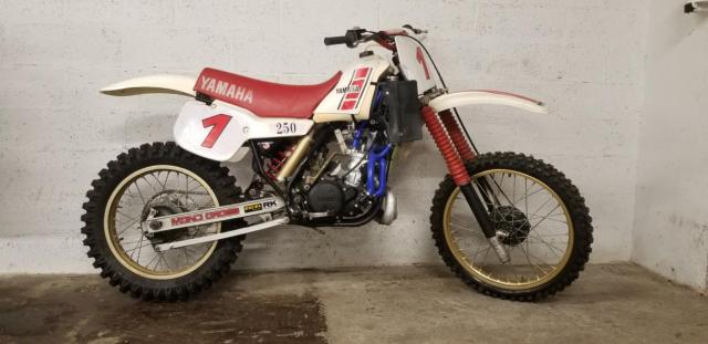 Yamaha