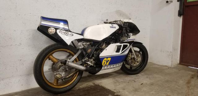 Tzg 350 Yamaha Bleu image 4