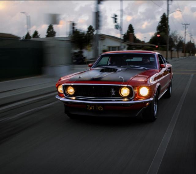 Mustang image 8