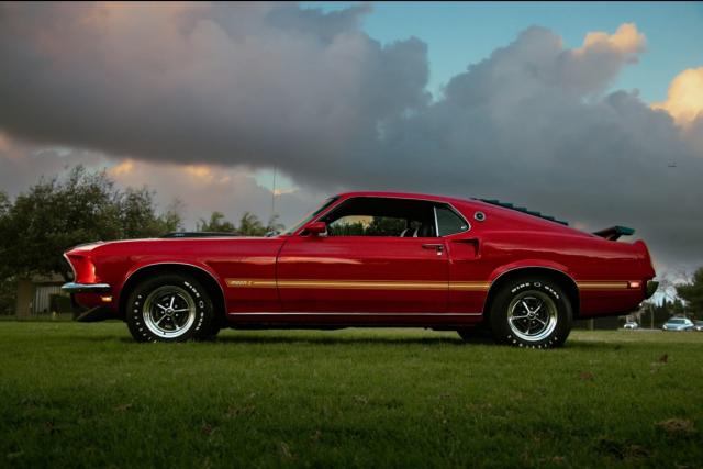 Mustang image 6