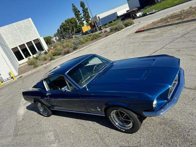 Mustang image 7