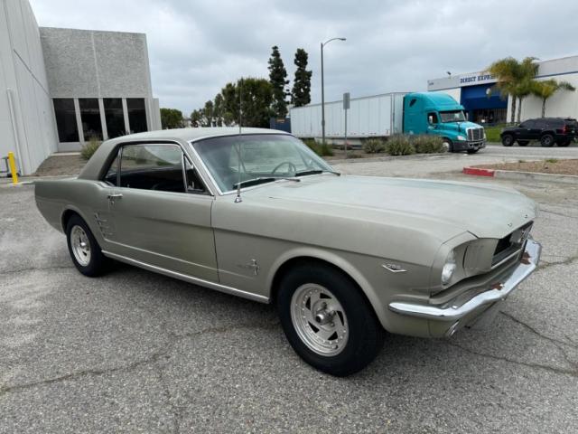 Mustang image 1