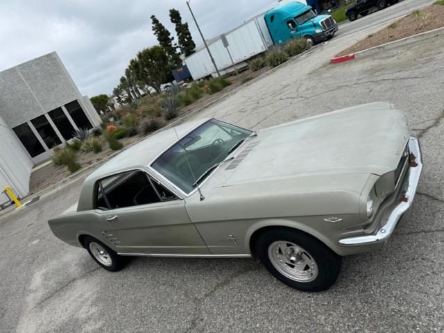 Mustang image 4