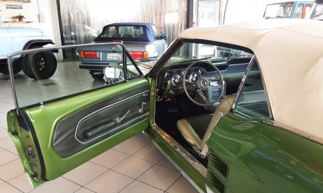 Ford Mustang image 9