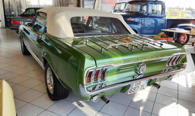 Ford Mustang image 3