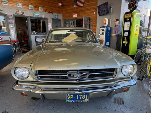 Ford Mustang image 5