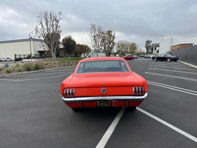 Ford Mustang image 3