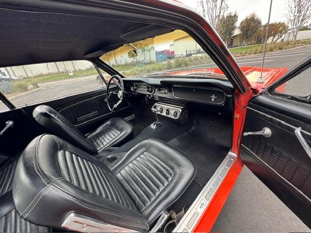 Ford Mustang image 6