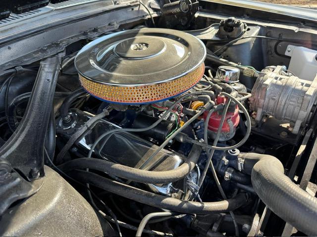 Ford Mustang image 2