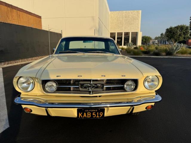 Ford Mustang image 6