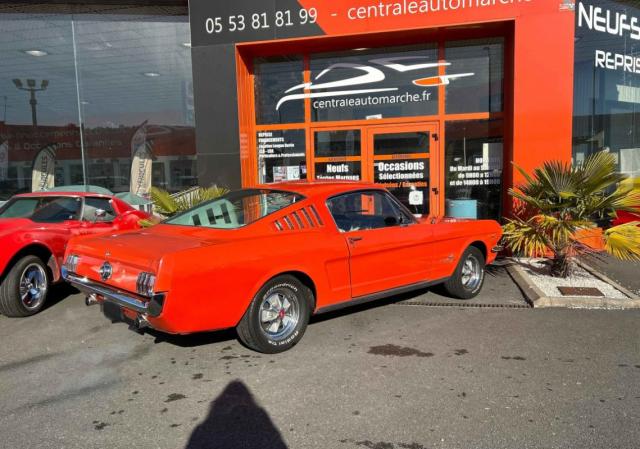 Ford Mustang image 3