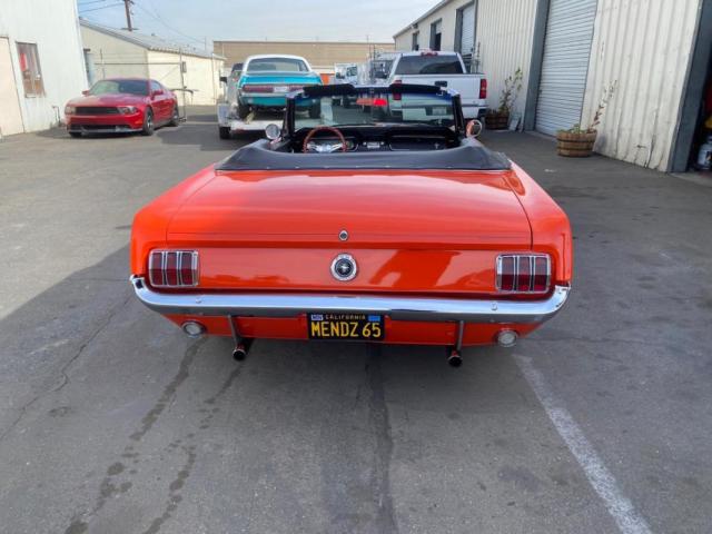 Ford Mustang image 1