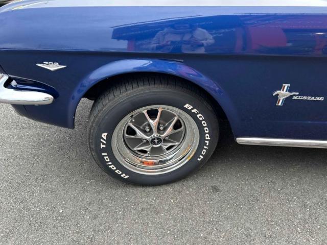 Ford Mustang image 1