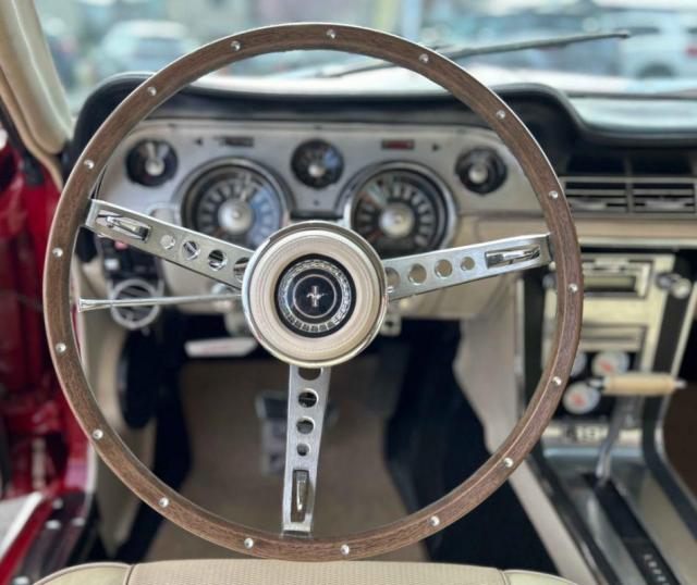 Ford Mustang image 4