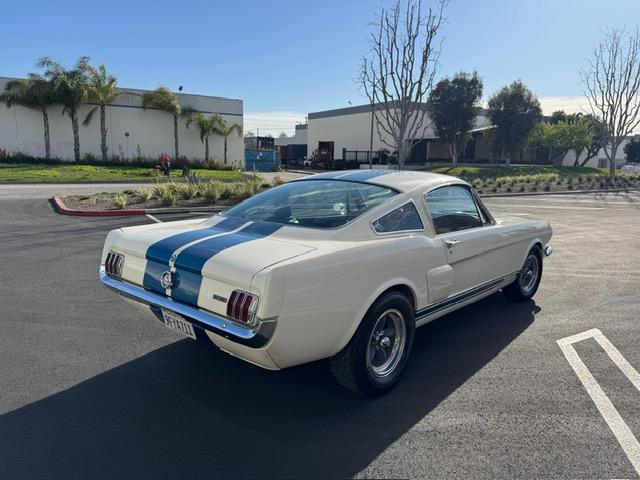 Ford Mustang image 8