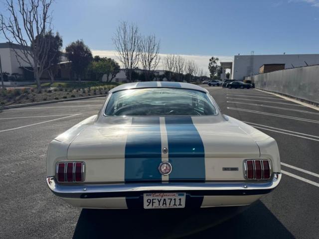 Ford Mustang image 1