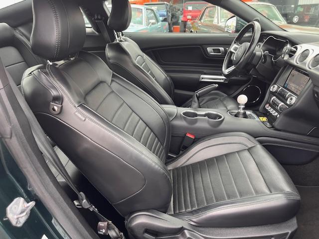 Ford Mustang image 1