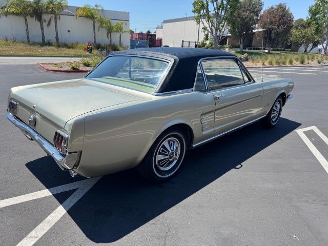 Ford Mustang image 1