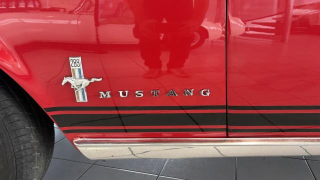 Ford Mustang image 9
