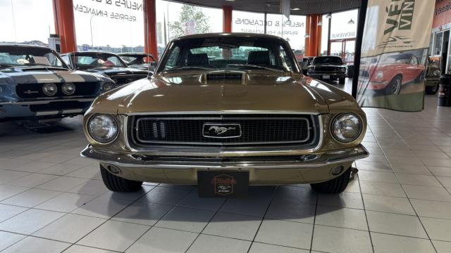 Ford Mustang image 1